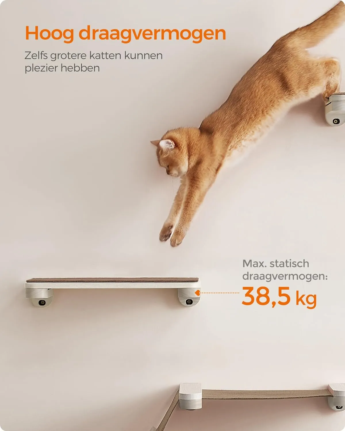 Klimwand voor katten, kattenmeubel, set van 5 stuks, hangmat, krabzuil, kattenmand, onderdelen verwisselbaar, wasbaar, havervlok