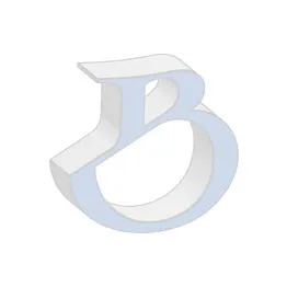LOSSE LAMP VOOR POLIJSTMACHINE BAILO NANO