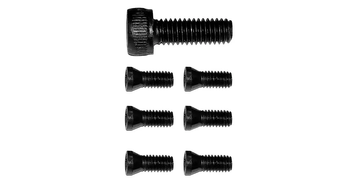 SET TORX SCHROEFJES VOOR DBS0712 MWTECH